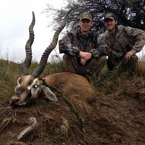 Hunt Blackbuck in Argentina