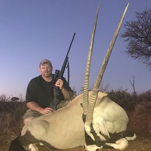 Namibia Hunting Gemsbok