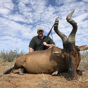 Hunt Red Hartebeest in Namibia