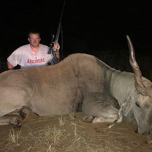 Namibia Hunt Eland