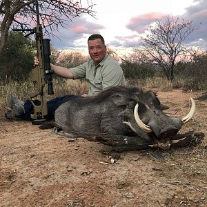 Hunt Warthog in South Africa