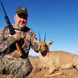 Steenbok Hunting South Africa