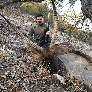 32 5/8" Inch Waterbuck Hunt South Africa
