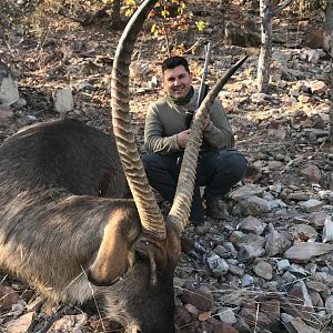 32 5/8" Inch Waterbuck Hunting South Africa