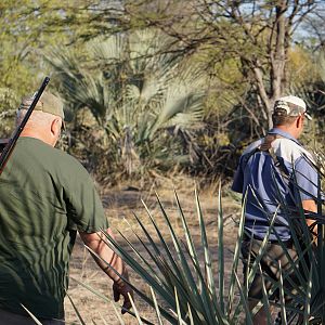 Tracking & Stalking Impala Namibia