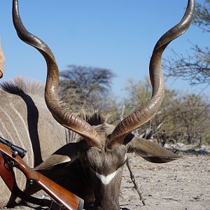 Kudu Hunting Namibia