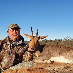 Hunt Mountain Reedbuck in South Africa