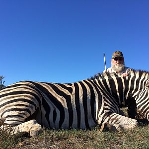2017 safari Zebra