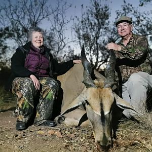 Hunt Eland in South Africa