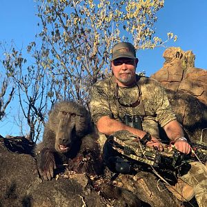 Bow Hunt Baboon in South Africa