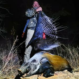 Hunting African Porcupine & Bushpig in South Africa