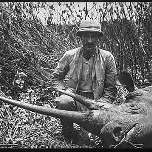 Black Rhino Hunt  East Africa around 1910