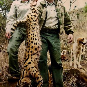 Serval Cat Hunting