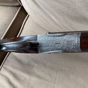 Rigby Rising Bite Underlever .500 BPE Double Rifle
