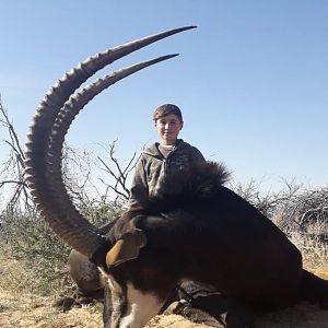 Hunting Sable in South Africa