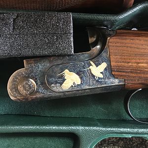 12 Gauge Sabatti Jaguar Gold Shotgun