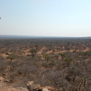 Limpopo Hunting Area South Africa