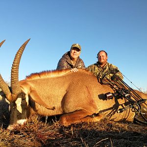 Roan Bow Hunting South Africa