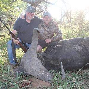 South Africa Hunt Cape Buffalo