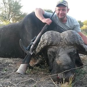 South Africa Hunting Buffalo