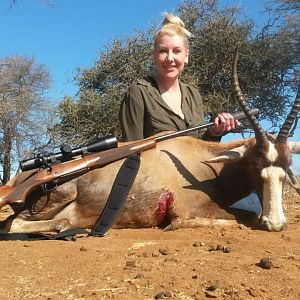 Hunt Blesbok in South Africa