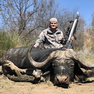 Hunting Cape Buffalo in South Africa