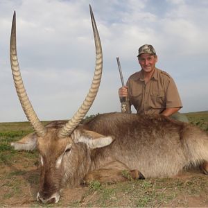 South Africa Hunt 34" Inch Waterbuck