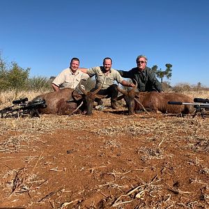 Hunt Tsessebe in South Africa