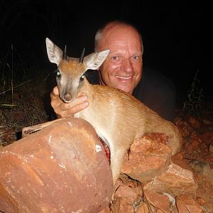 South Africa Hunting Cape Grysbok