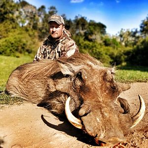 Hunting Warthog in South Africa