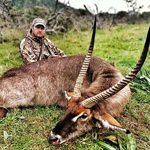 Waterbuck Hunt South Africa