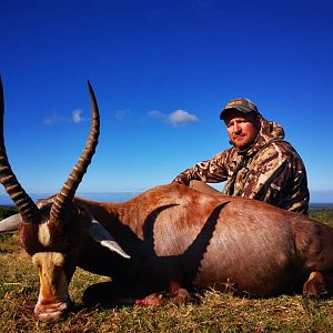 Blesbok Hunting South Africa