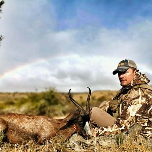 Hunt Black Springbok in South Africa