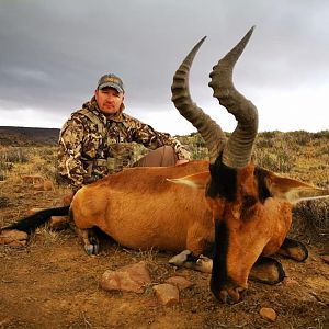 Hunting Red Hartebeest in South Africa