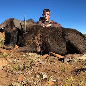 Black Wildebeest Hunt South Africa