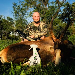 Common Blesbuck “Damaliscus Pygargus Phillipsi” Crossbow Hunting South Africa