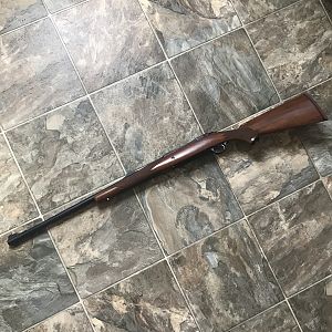 Ruger M77 Hawkeye 375 Ruger Rifle