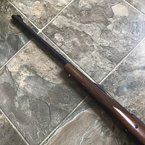 Ruger M77 Hawkeye 375 Ruger Rifle