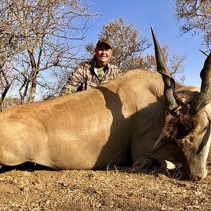 Eland Hunt South Africa