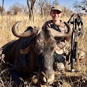 Crossbow Hunt Blue Wildebeest in South Africa