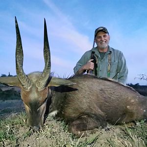 Bushbuck Hunt South Africa