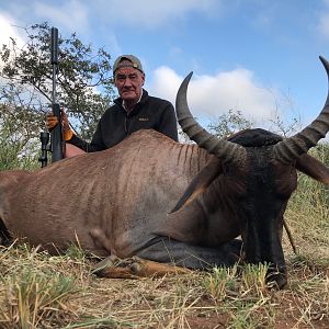Hunt Tsessebe in South Africa