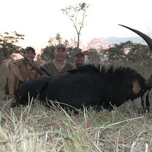 Roosevelt Sable Hunting Mozambique