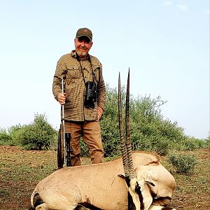 Beisa Oryx Hunt Ethiopia