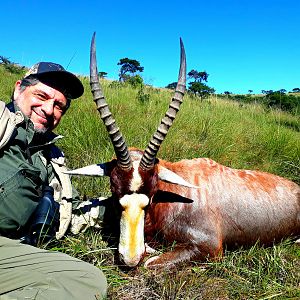 Blesbok Hunting South Africa