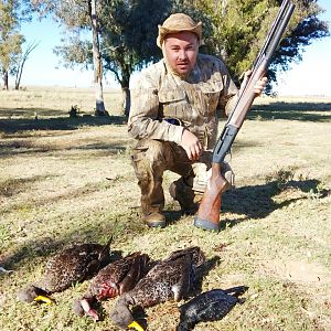 South Africa Hunt Duck & Geese