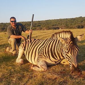 Hunting Burchell's Plain Zebra in South Africa