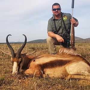 Hunt Copper Springbok in South Africa