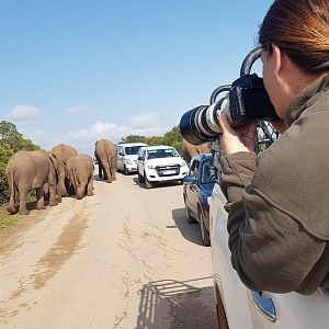 Visiting Elephant Park in South Africa
