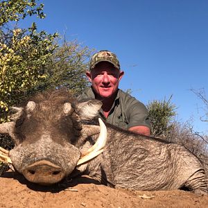 South Africa Hunting Warthog